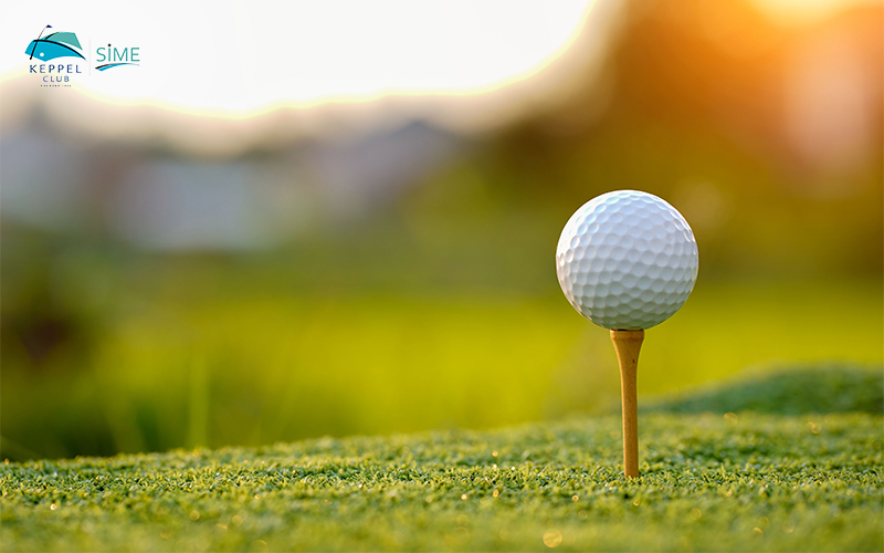 Golf Ball On Tee