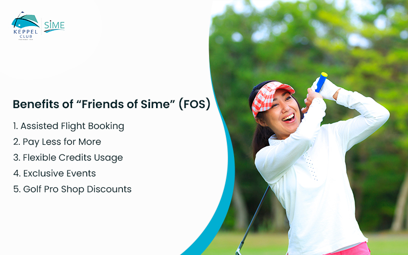 benefits of friends of sime